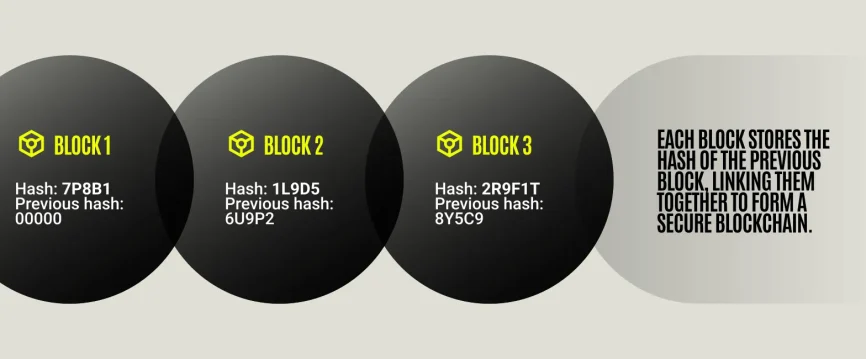 Blocks link via previous block hashes