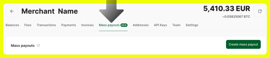 Create mass payout in CoinsPaid account Create mass payout in CoinsPaid account